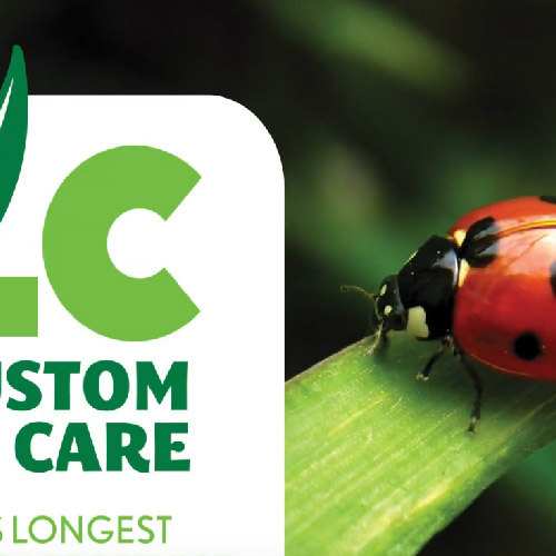 Custom Lawn Care promo Video